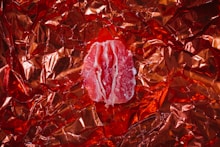 red and brown dried leaves