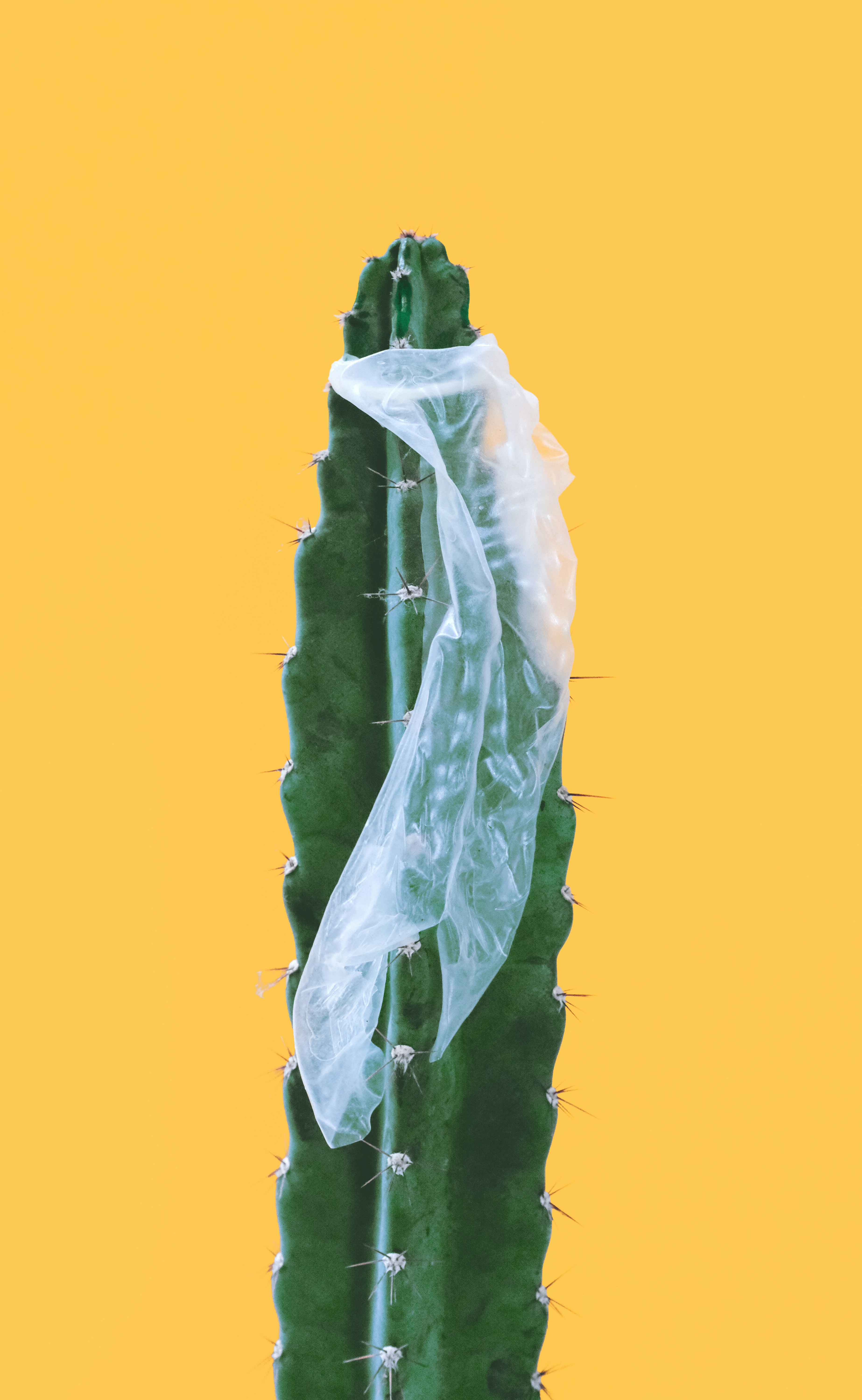 Sex Education: Can a condom break?