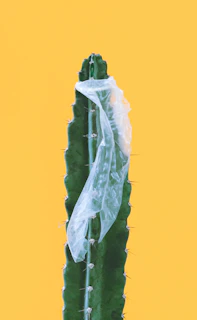 green and blue rope on blue surface
