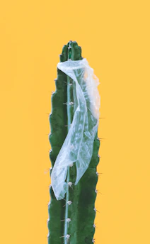 green and blue rope on blue surface