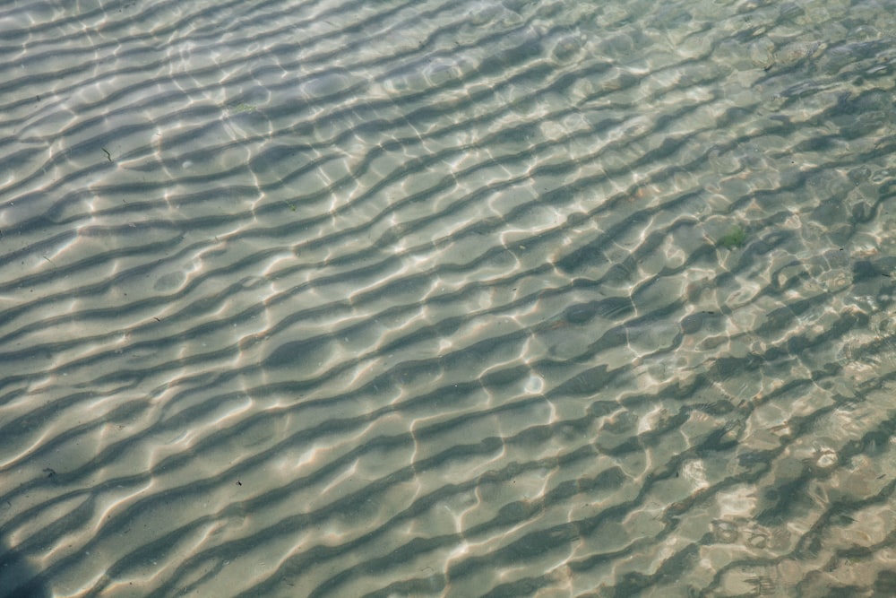 body of water during daytime