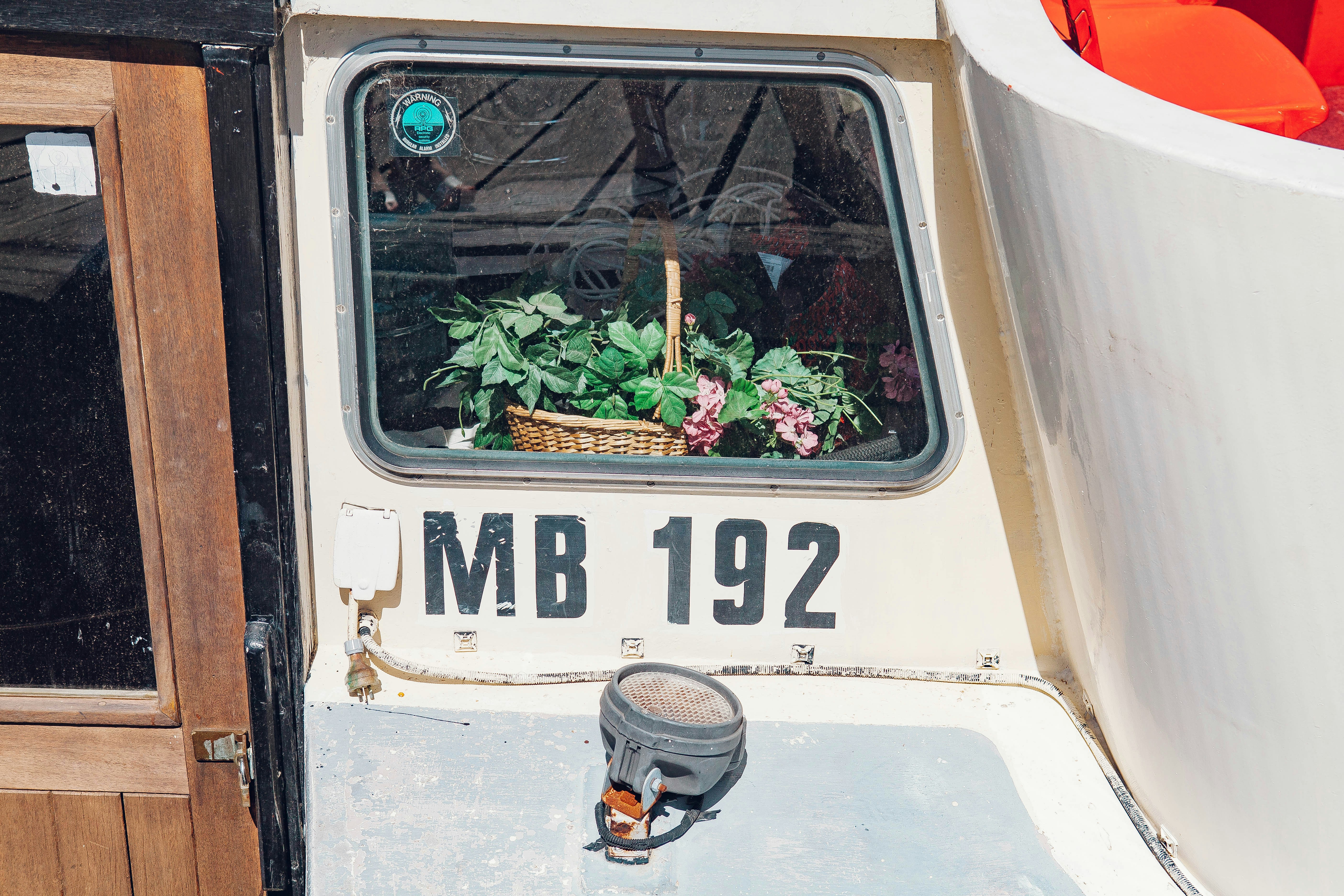 white and black van with green plants