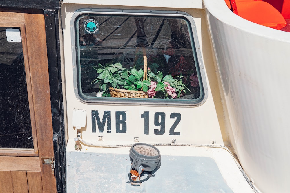 white and black van with green plants