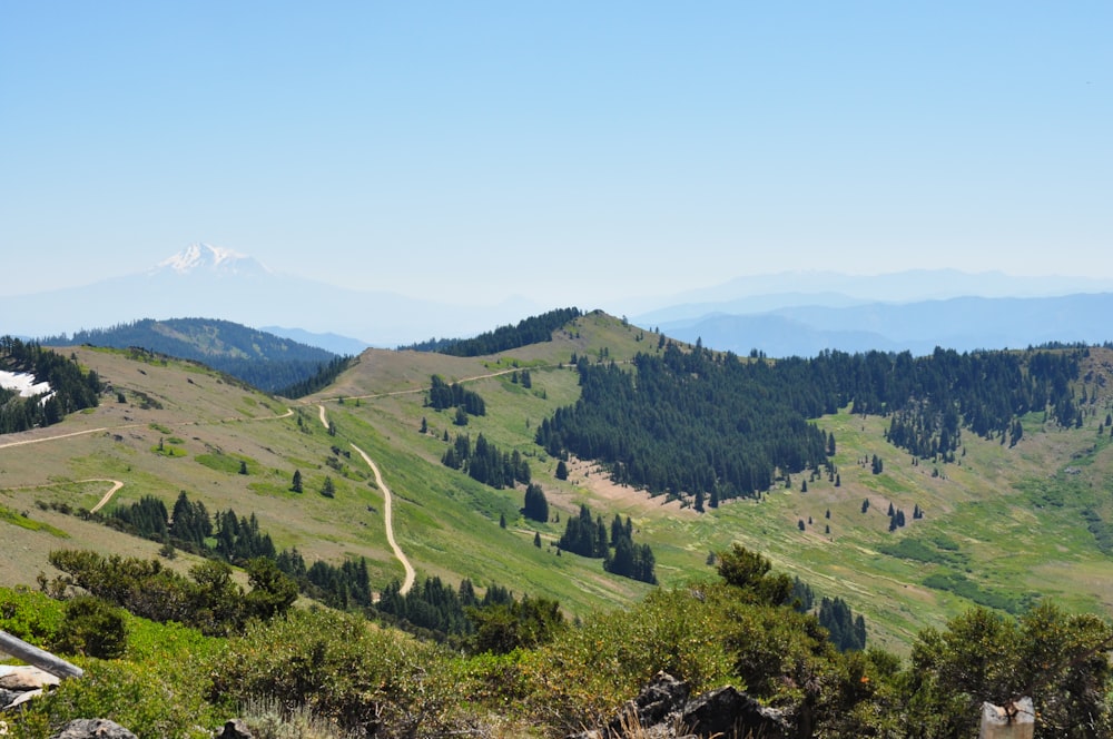 green grass field and mountains during daytime