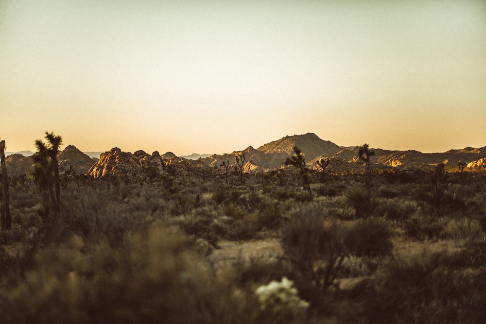 brown mountain under blue sky during daytime