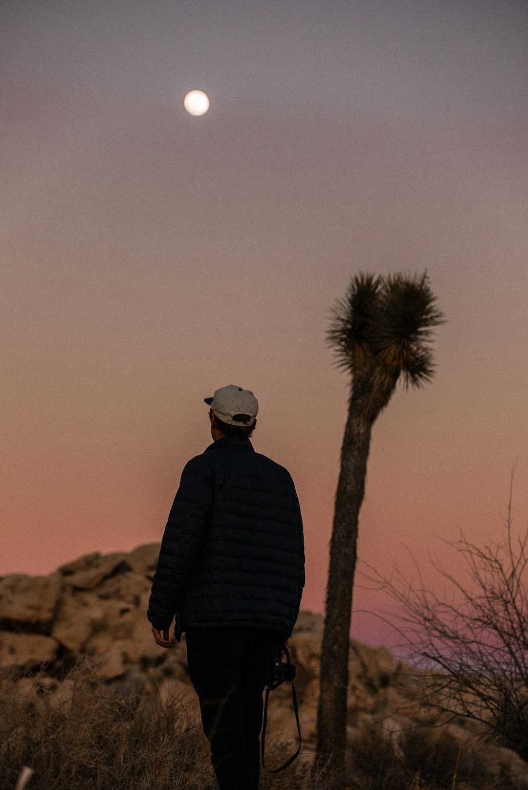 man in black jacket standing near brown tree during daytime