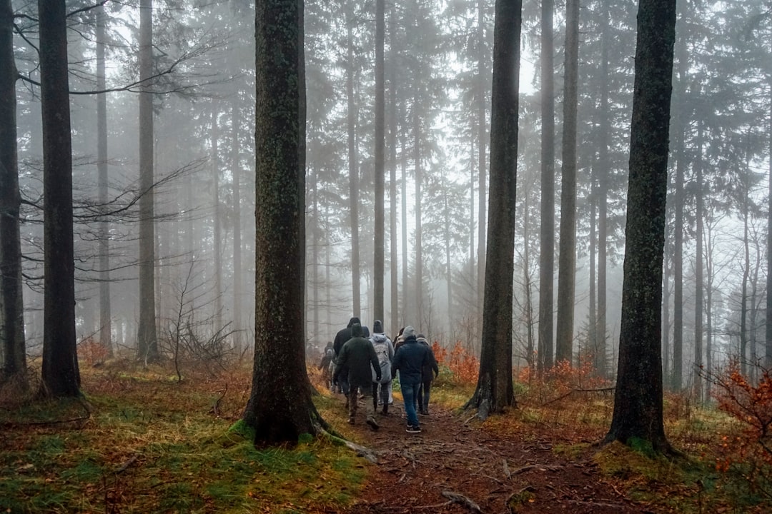 travelers stories about Forest in Schauinsland, Germany
