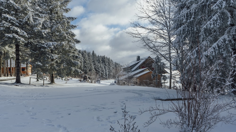 brown wooden house on snow covered ground near trees under white clouds and blue sky during