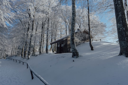 brown wooden house on snow covered ground in Schauinsland Germany