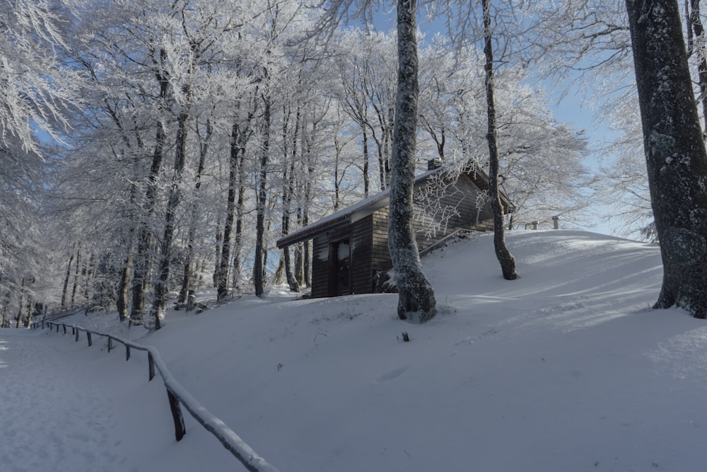 casa di legno marrone su terreno innevato