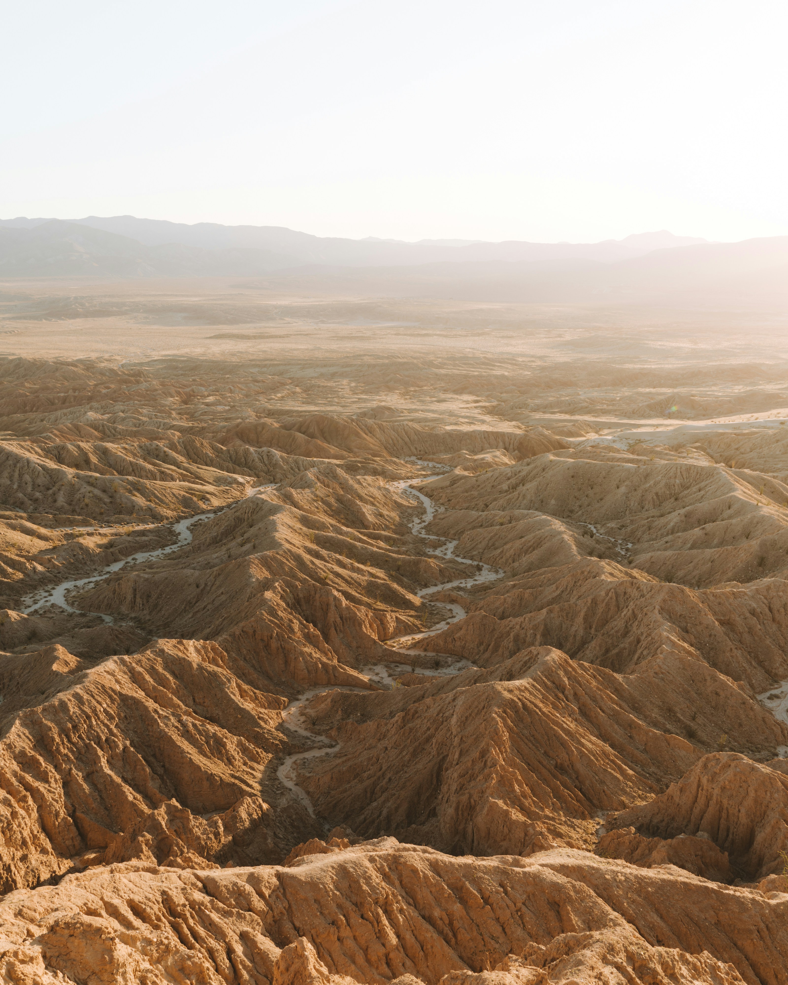 Photo by lifeof_peter_