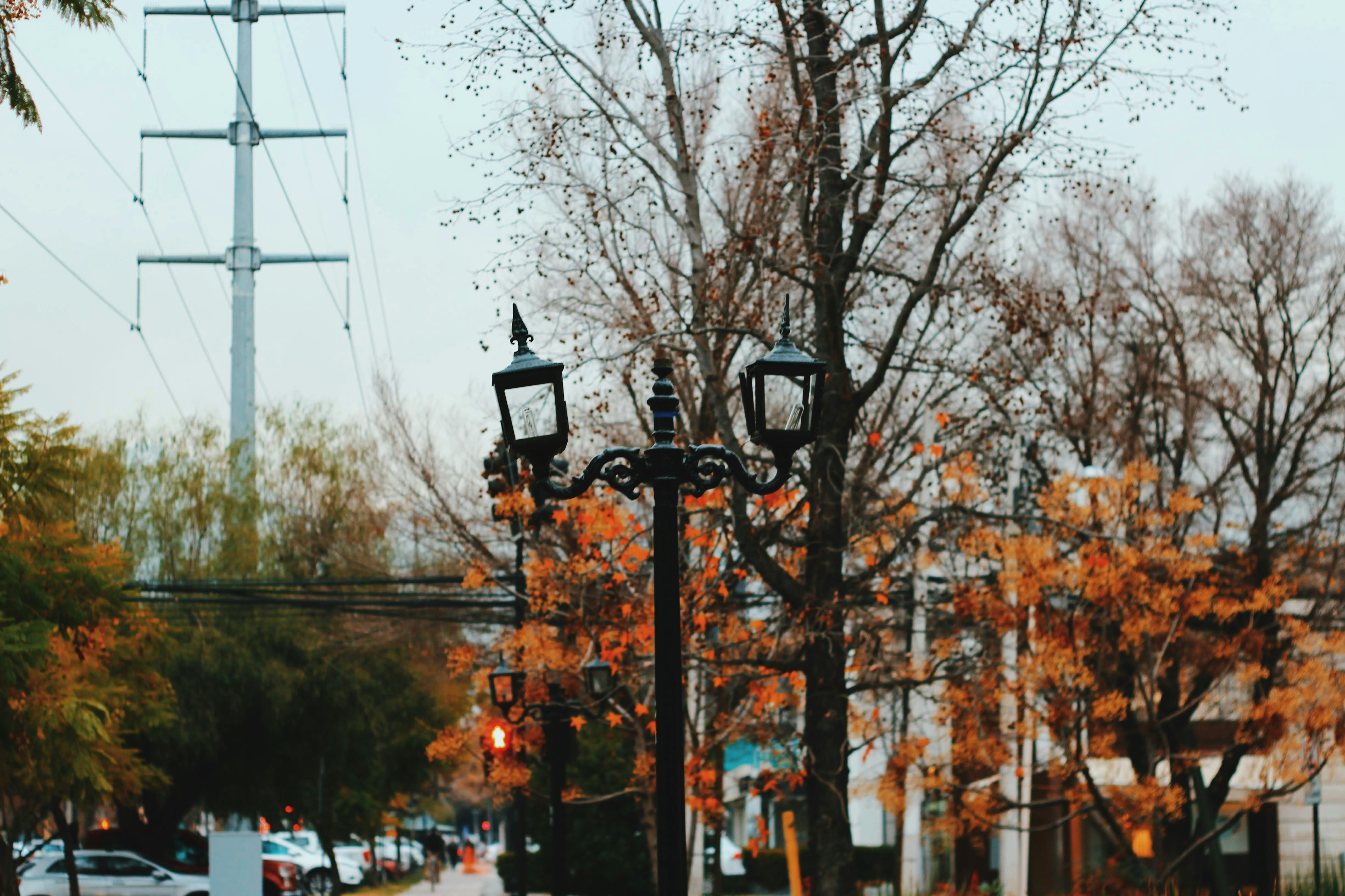 Photo by nathanareboucas