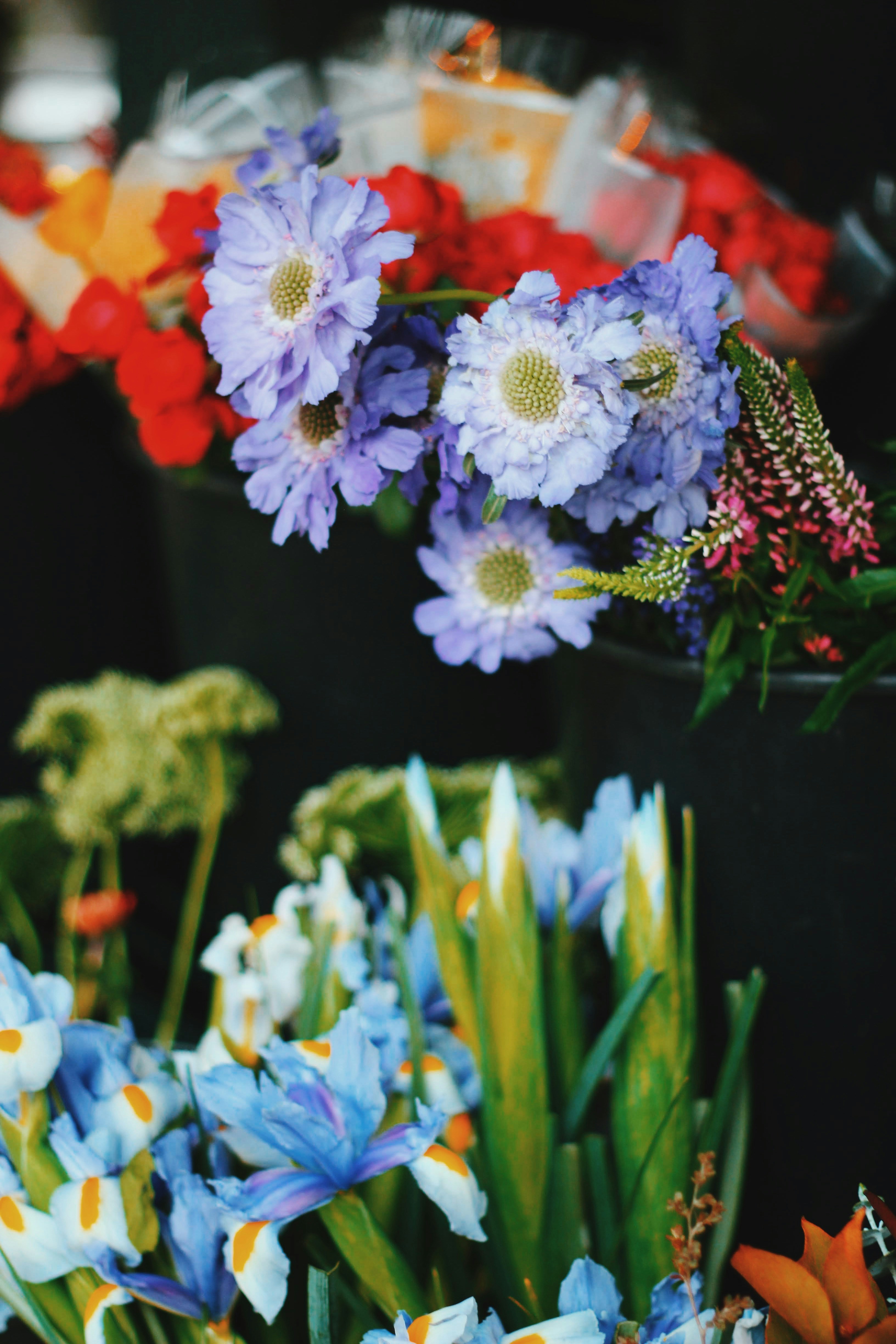 Photo by nathanareboucas