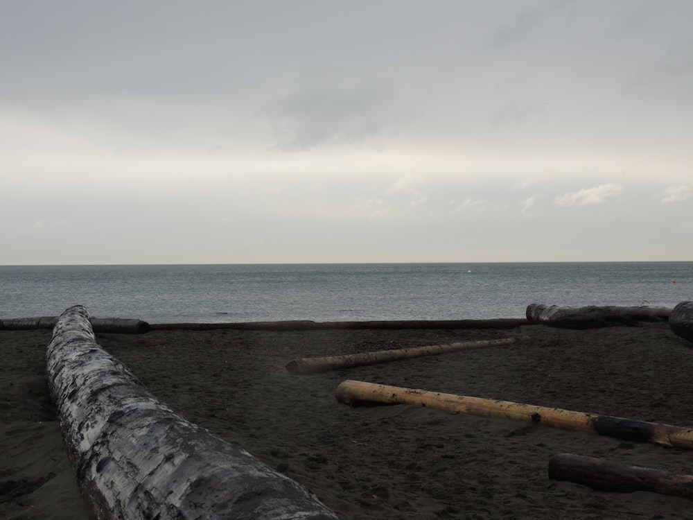 brown wooden stick on seashore during daytime