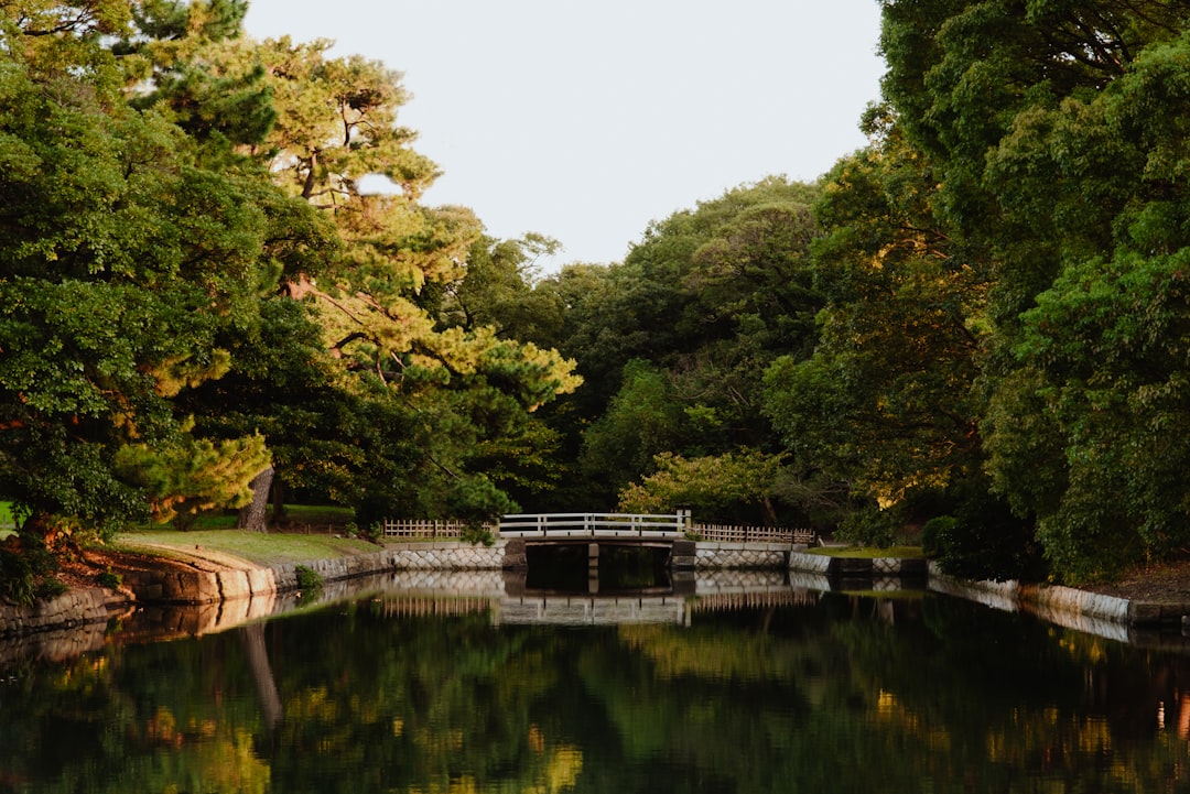 Waterway photo spot Tokyo Fuji