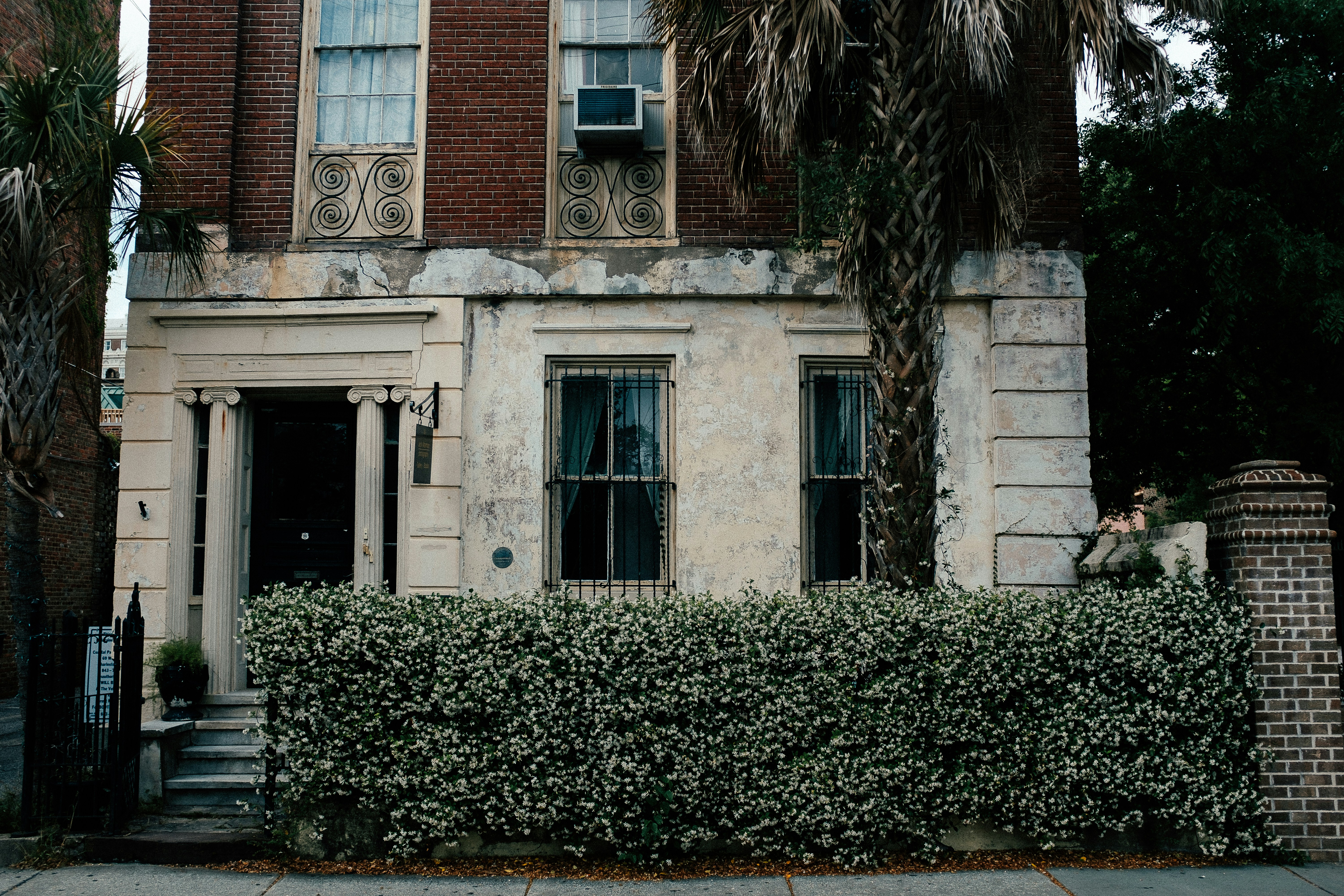 historic stucco detail on a Charleston luxury home showing organic growth - charleston high-end property washing