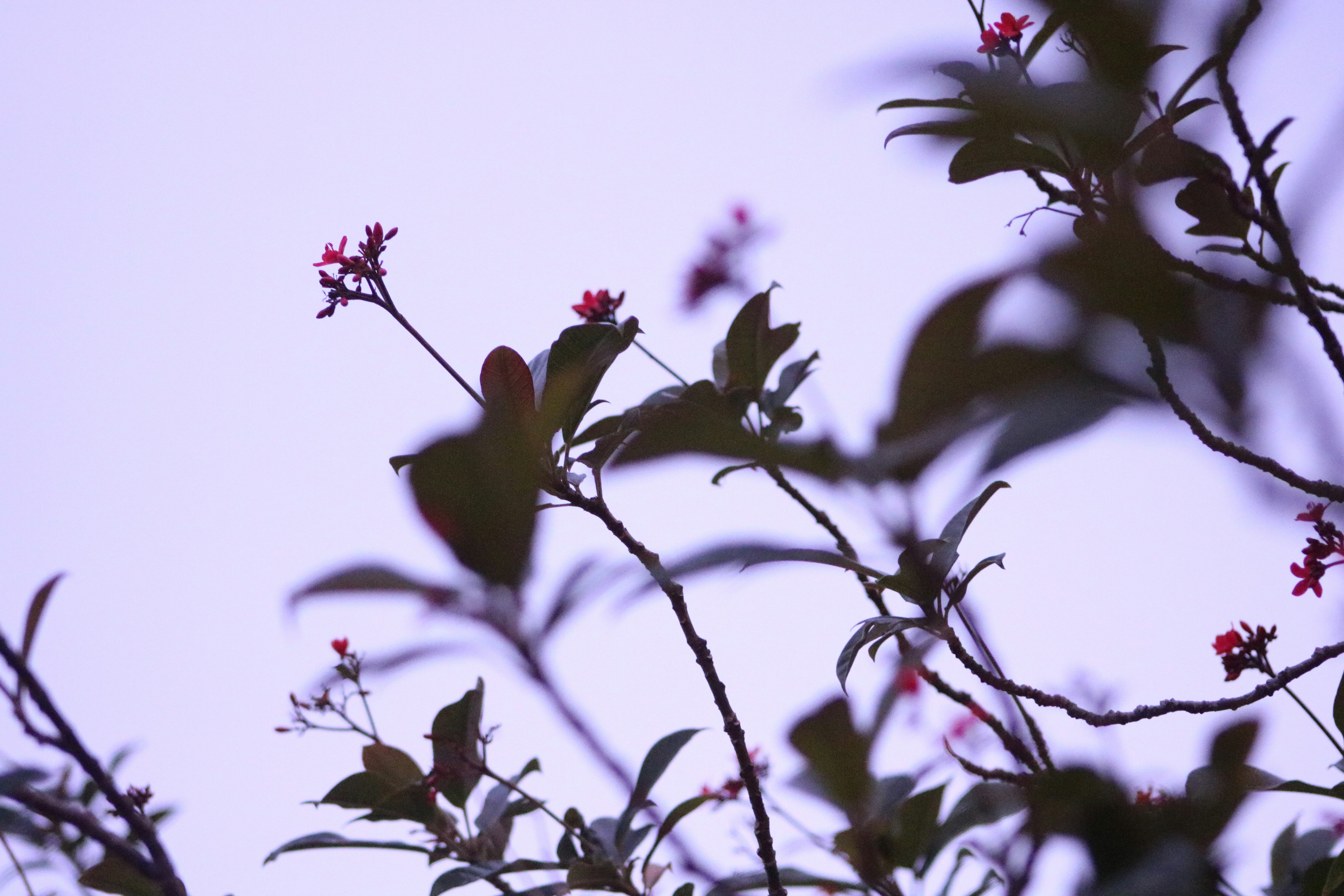 Photo by mia_friedenberg