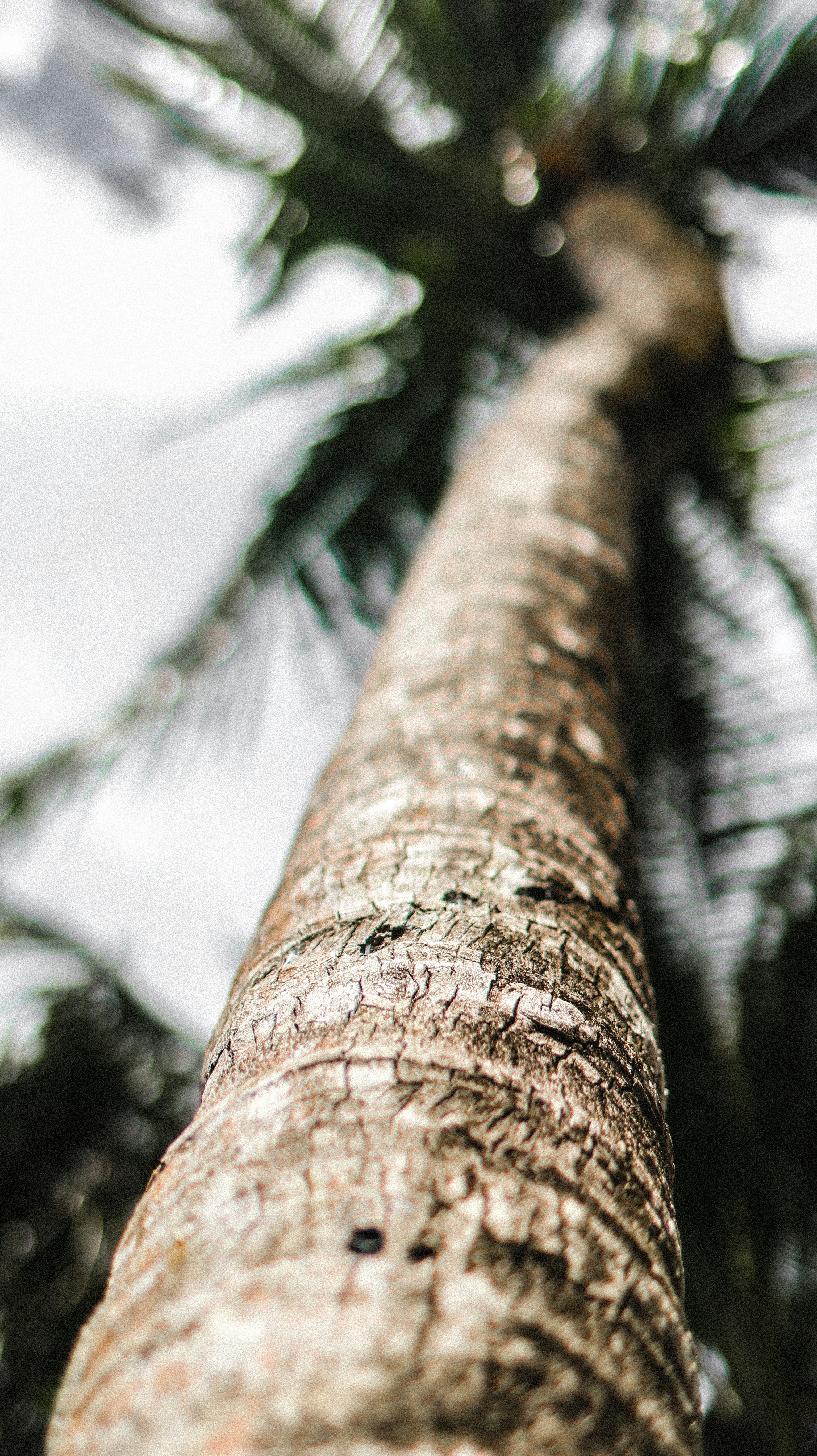 Photo by dawsoncaptures