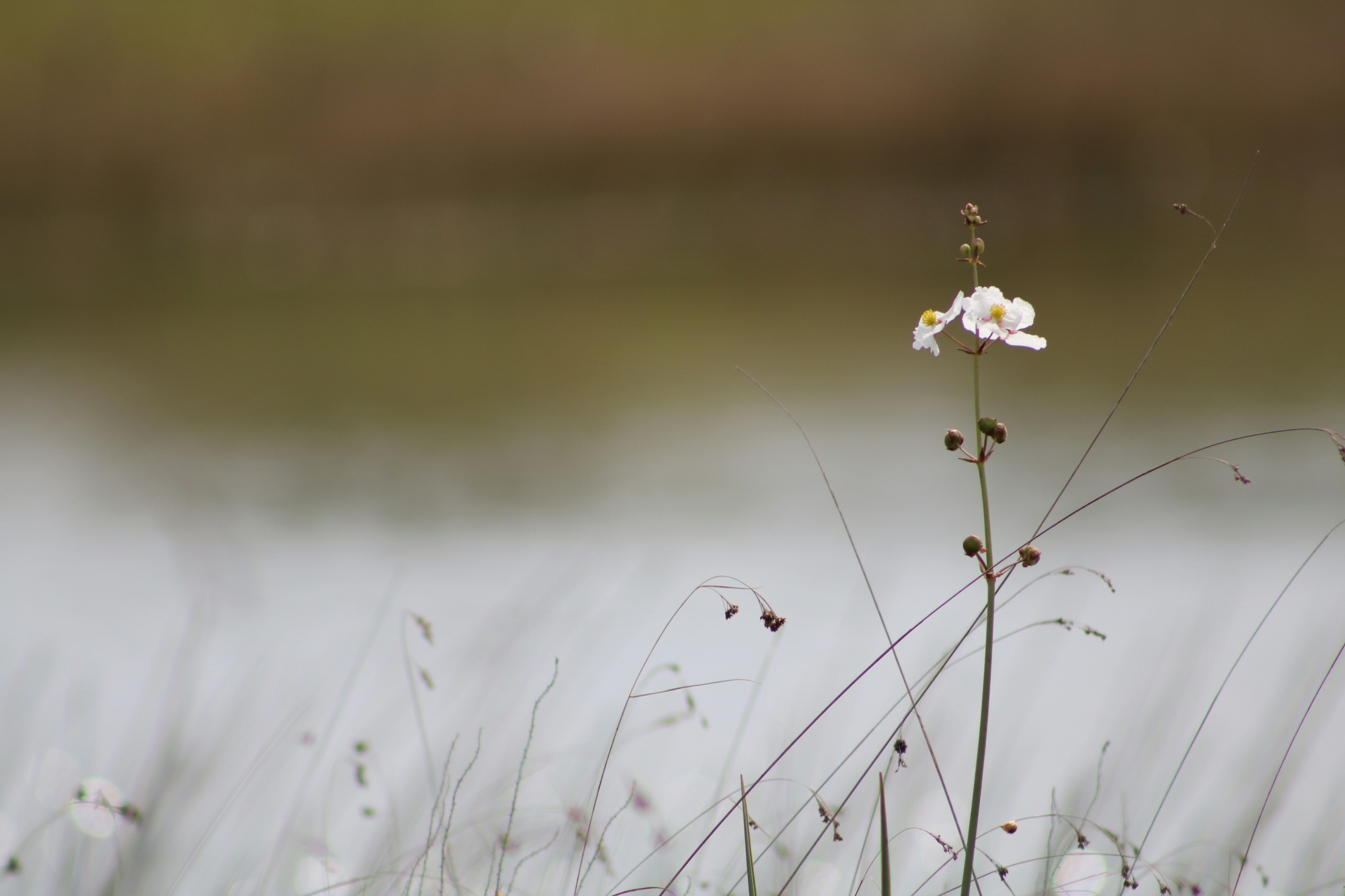 Photo by mia_friedenberg