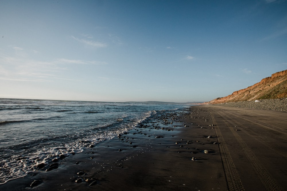 people walking on beach during daytime