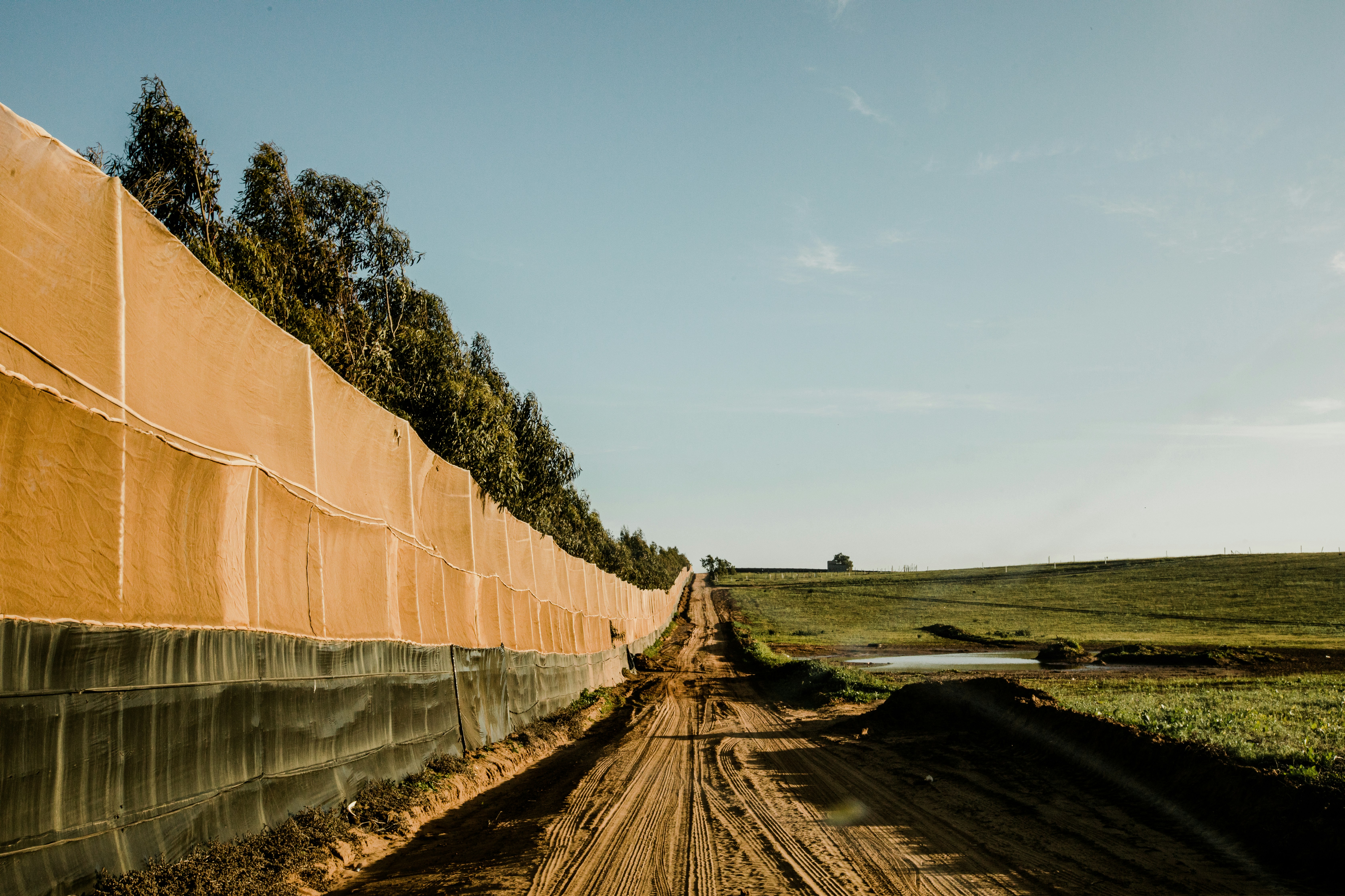 Resilience pays better than disruption.