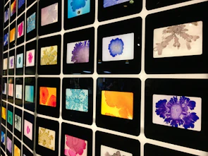 An artistic shot of colorful products arranged in a flexible gallery layout.