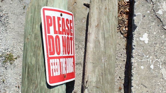 A red and white sign reads 'PLEASE DO NOT FEED THE BIRDS' and is positioned on a large wooden post. The surrounding area is a mix of gravelly ground and concrete pavement.