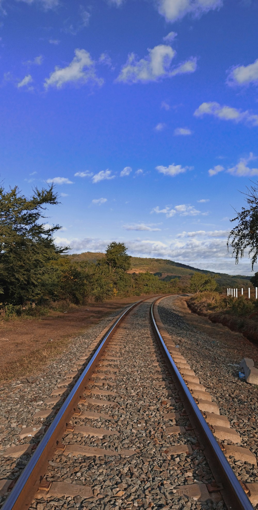 Carril de tren marrón bajo el cielo azul durante el día