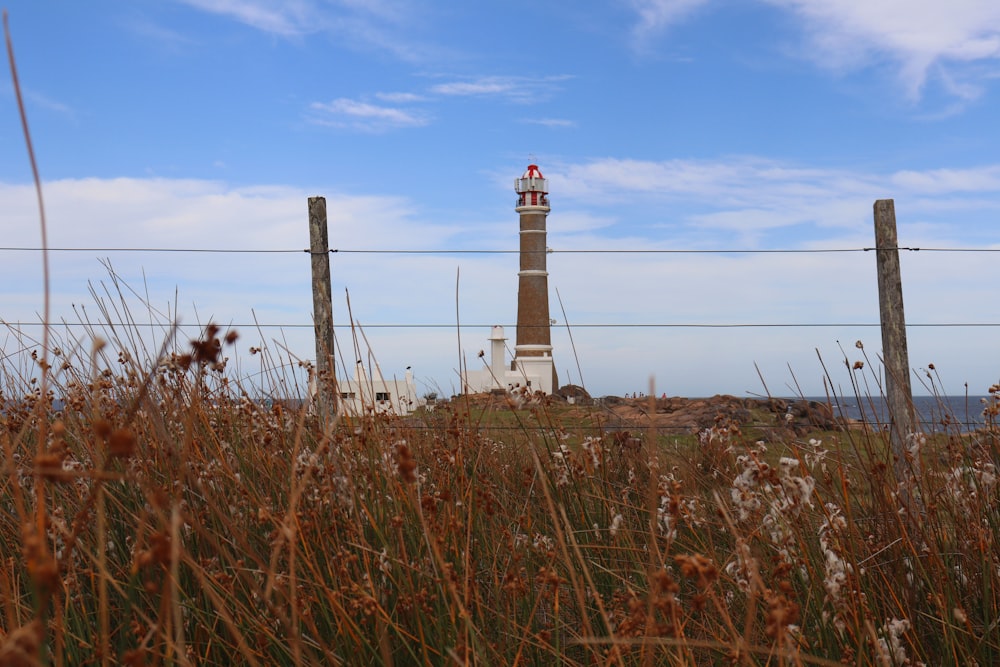 white and brown lighthouse under blue sky during daytime