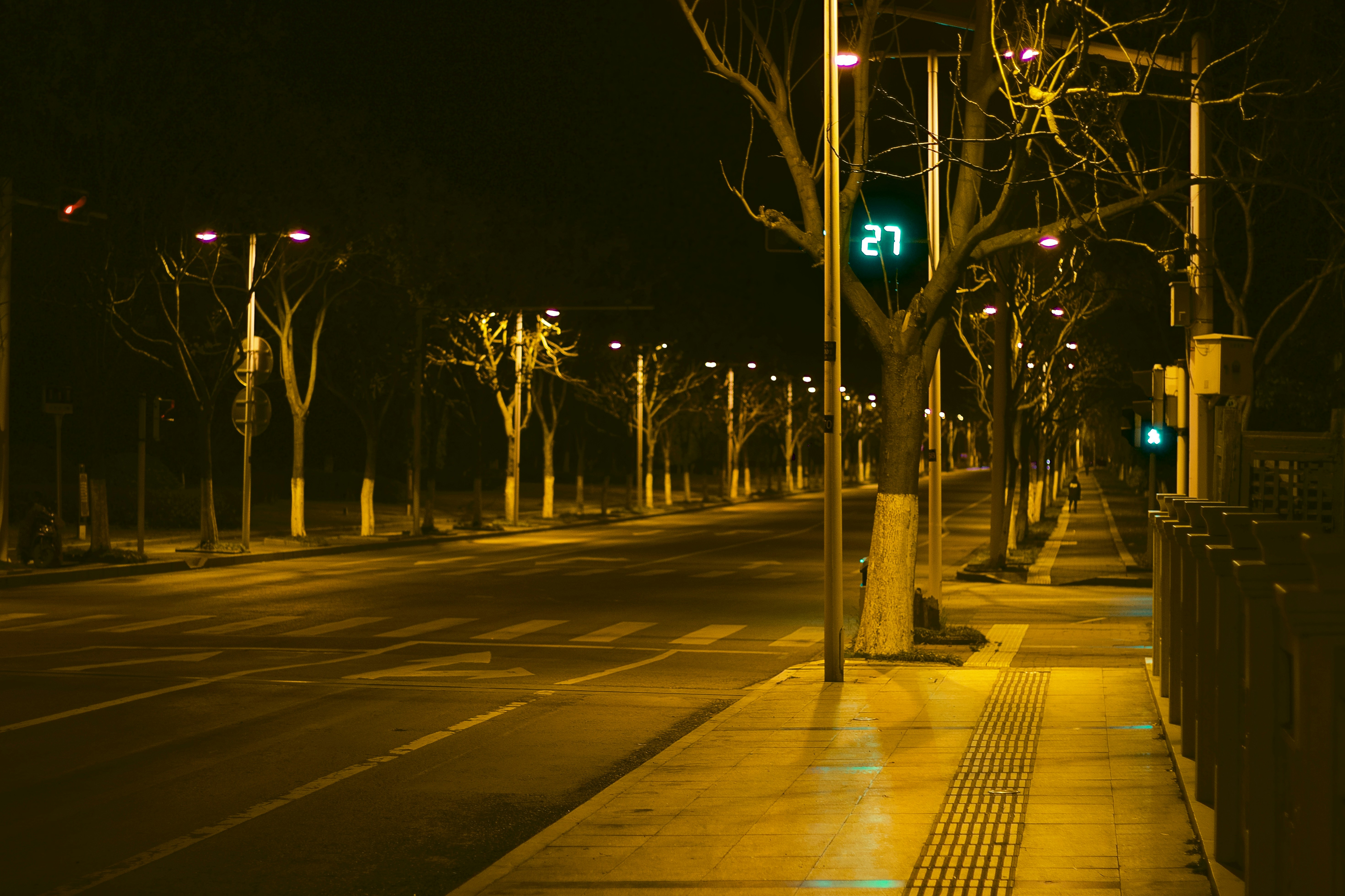 green light on the street during night time photo Free Asphalt Image