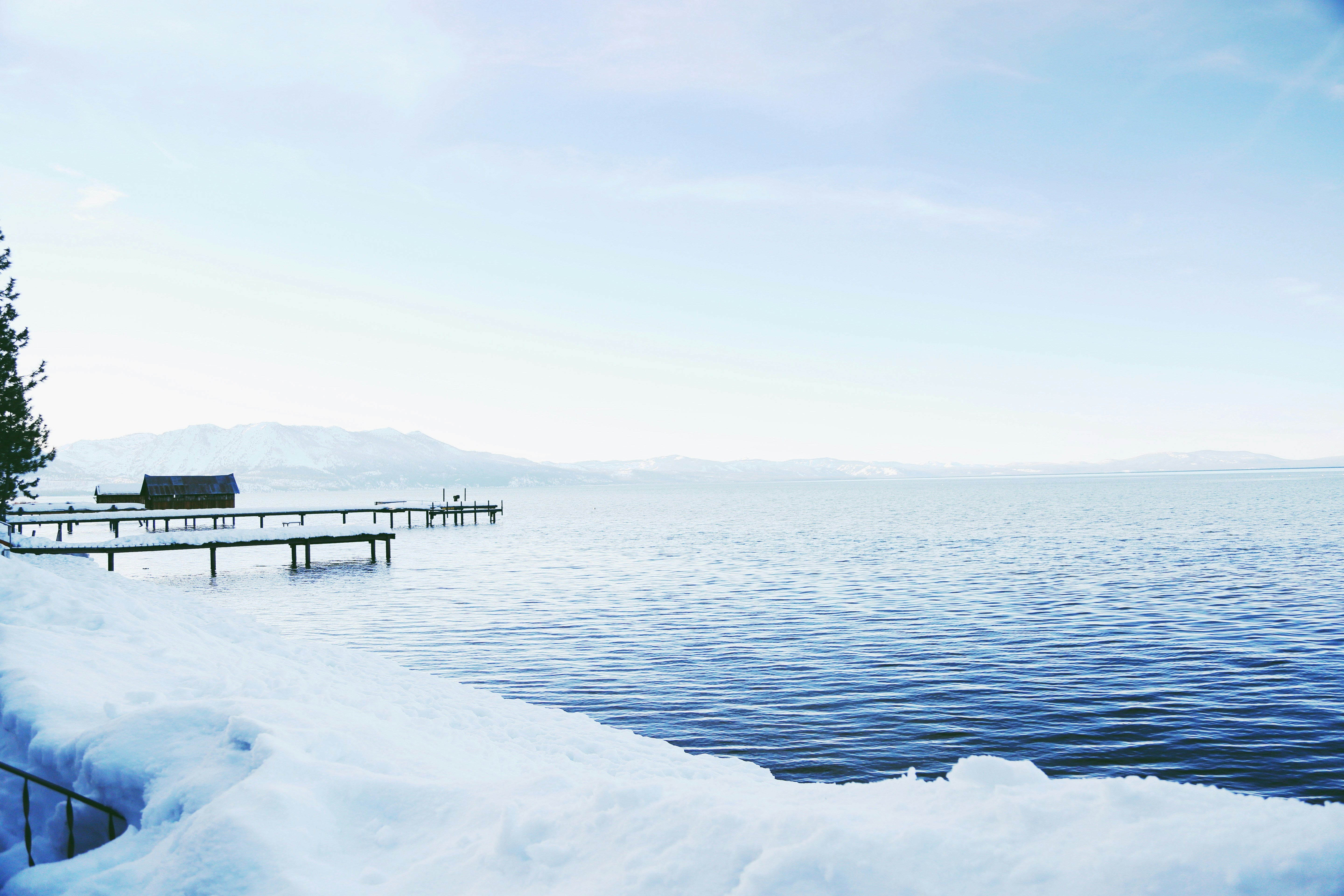 Photo by giorgiotrovato