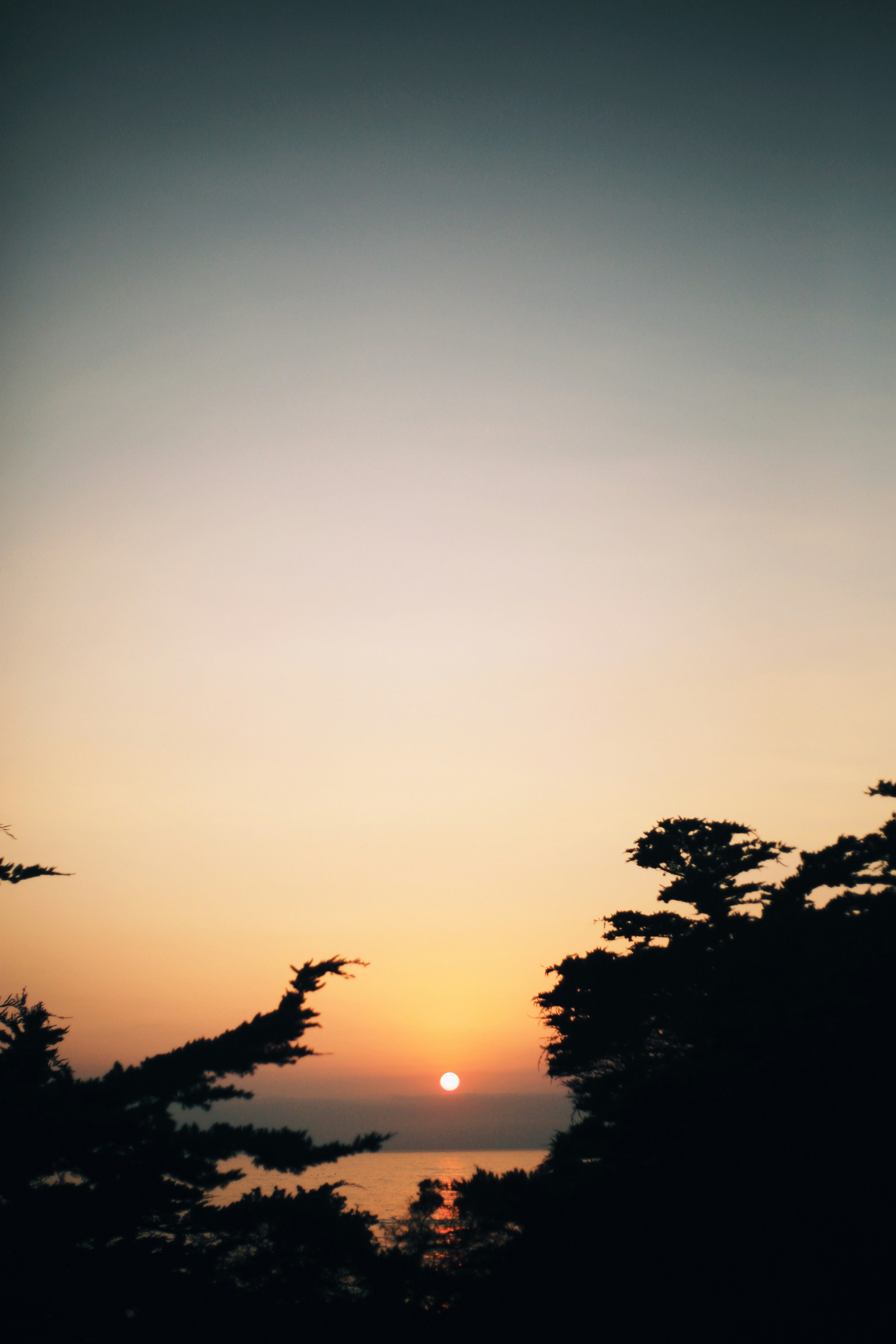 Photo by giorgiotrovato