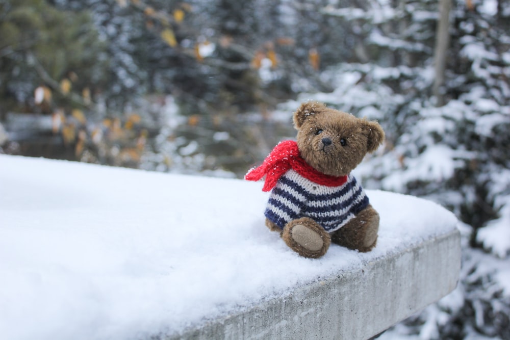 brinquedo de pelúcia do urso marrom no chão coberto de neve durante o dia