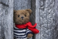 brown bear in red and white striped knit sweater