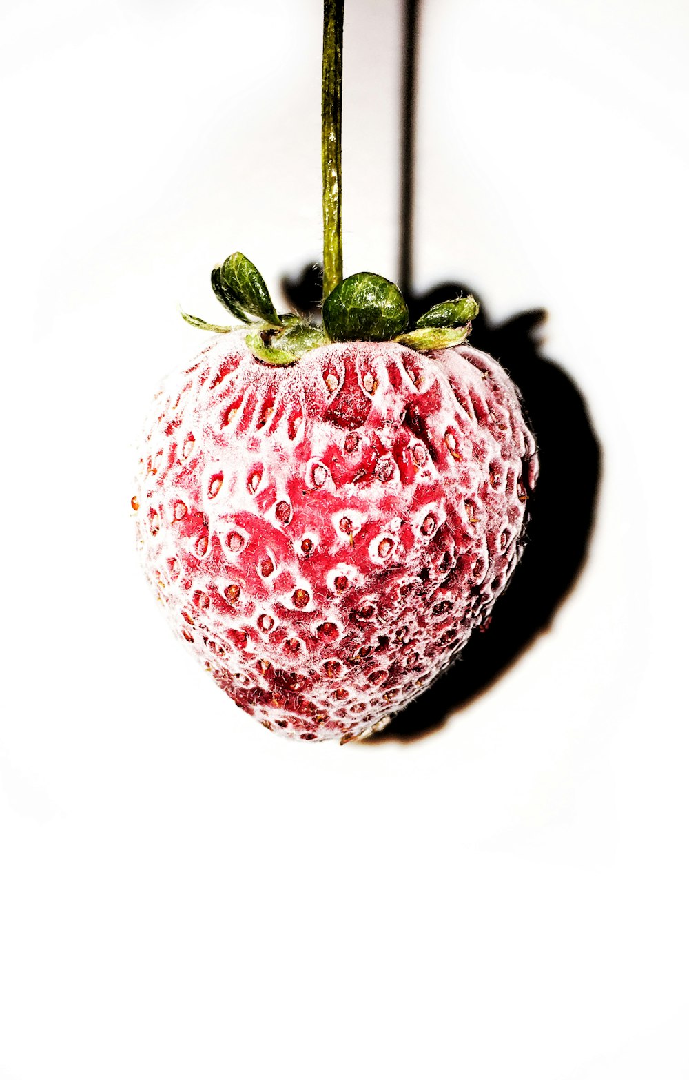 red strawberry fruit on white background