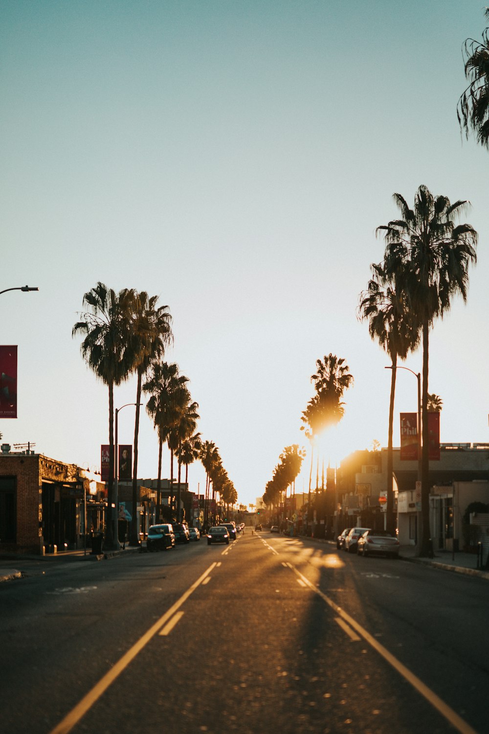 cars on road near palm trees during sunset