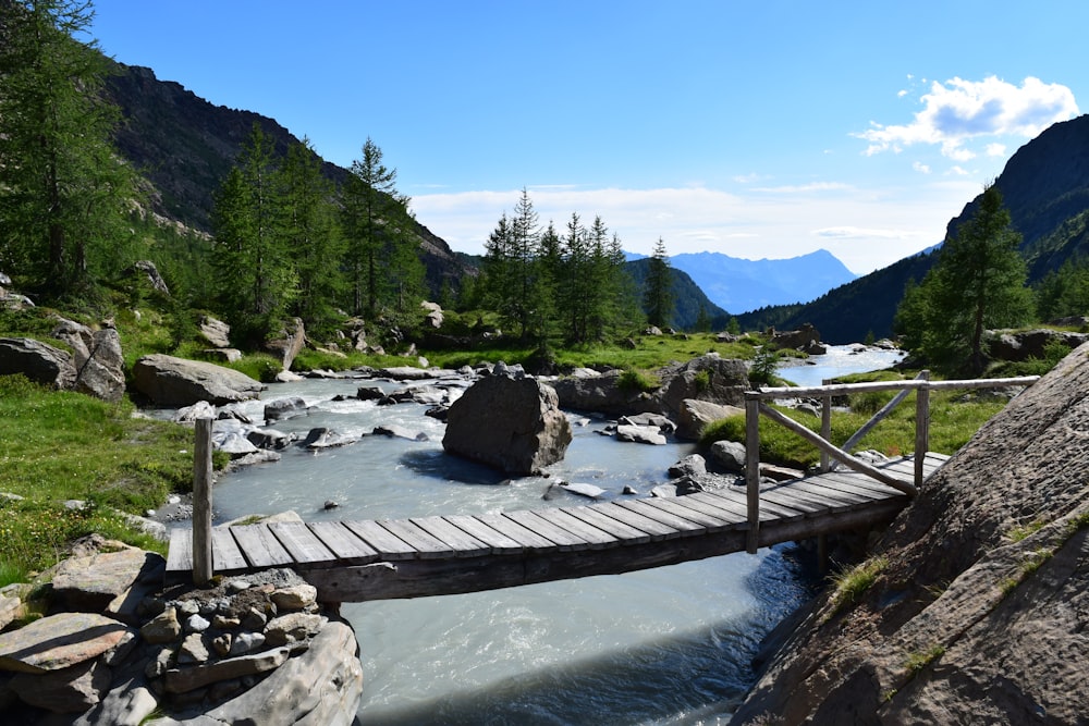 brown wooden bridge over river during daytime