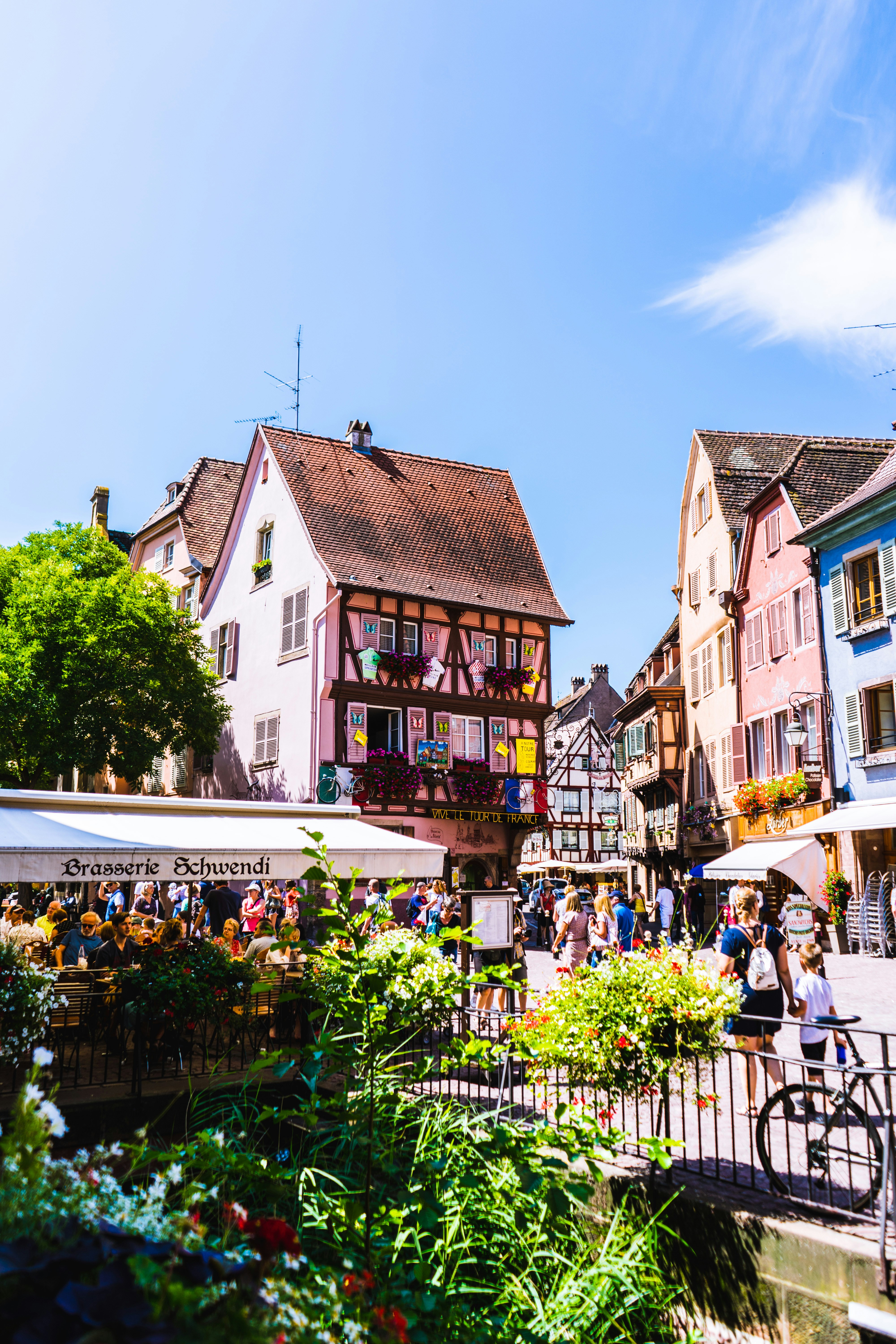 Photo by virussinside