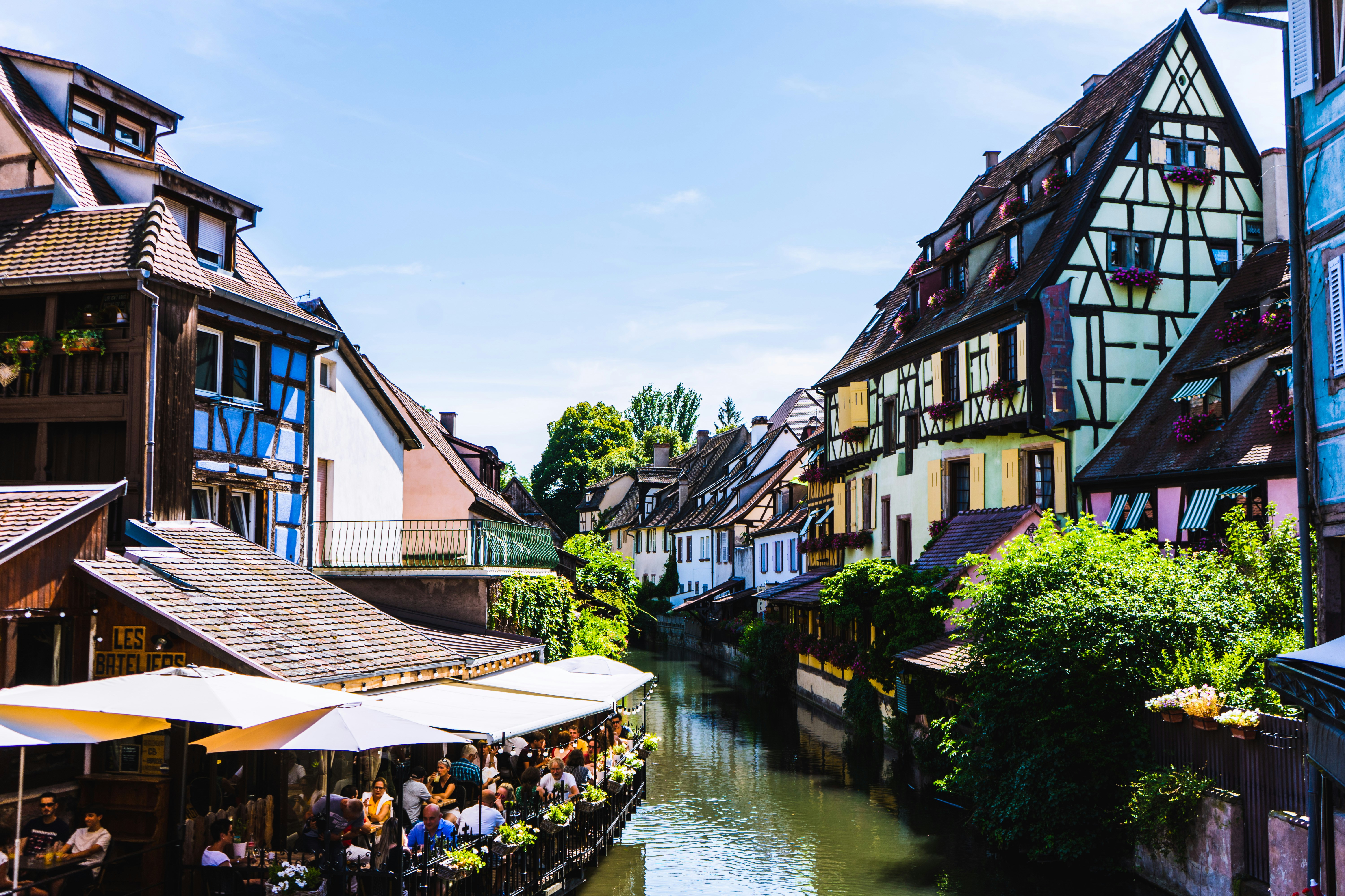 Photo by virussinside