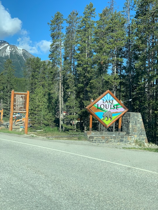 blue and white signage on gray asphalt road in Lake Louise Ski Resort Canada