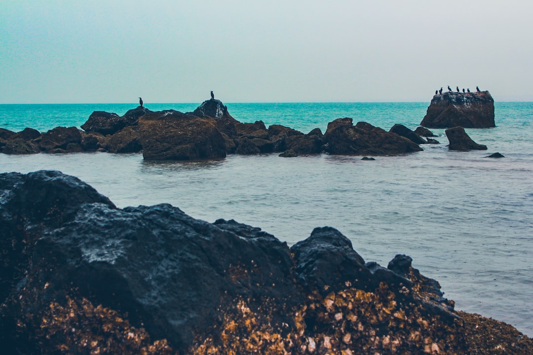 Shore photo spot Hormuz Island Iran