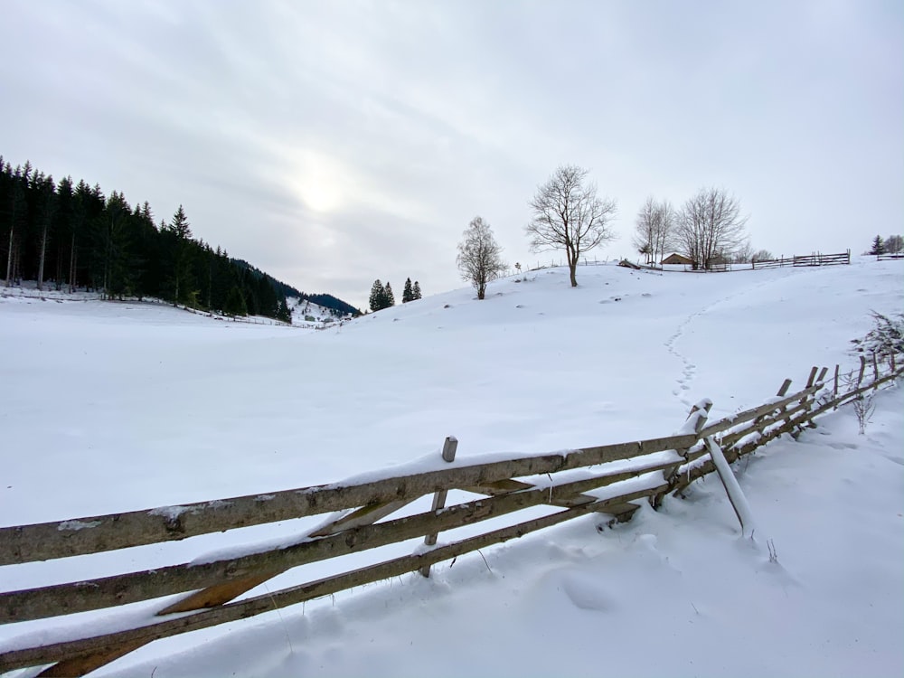 snow covered field with trees and mountains in distance