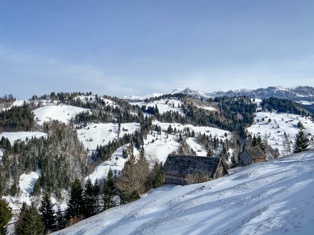 snow covered mountain under blue sky during daytime