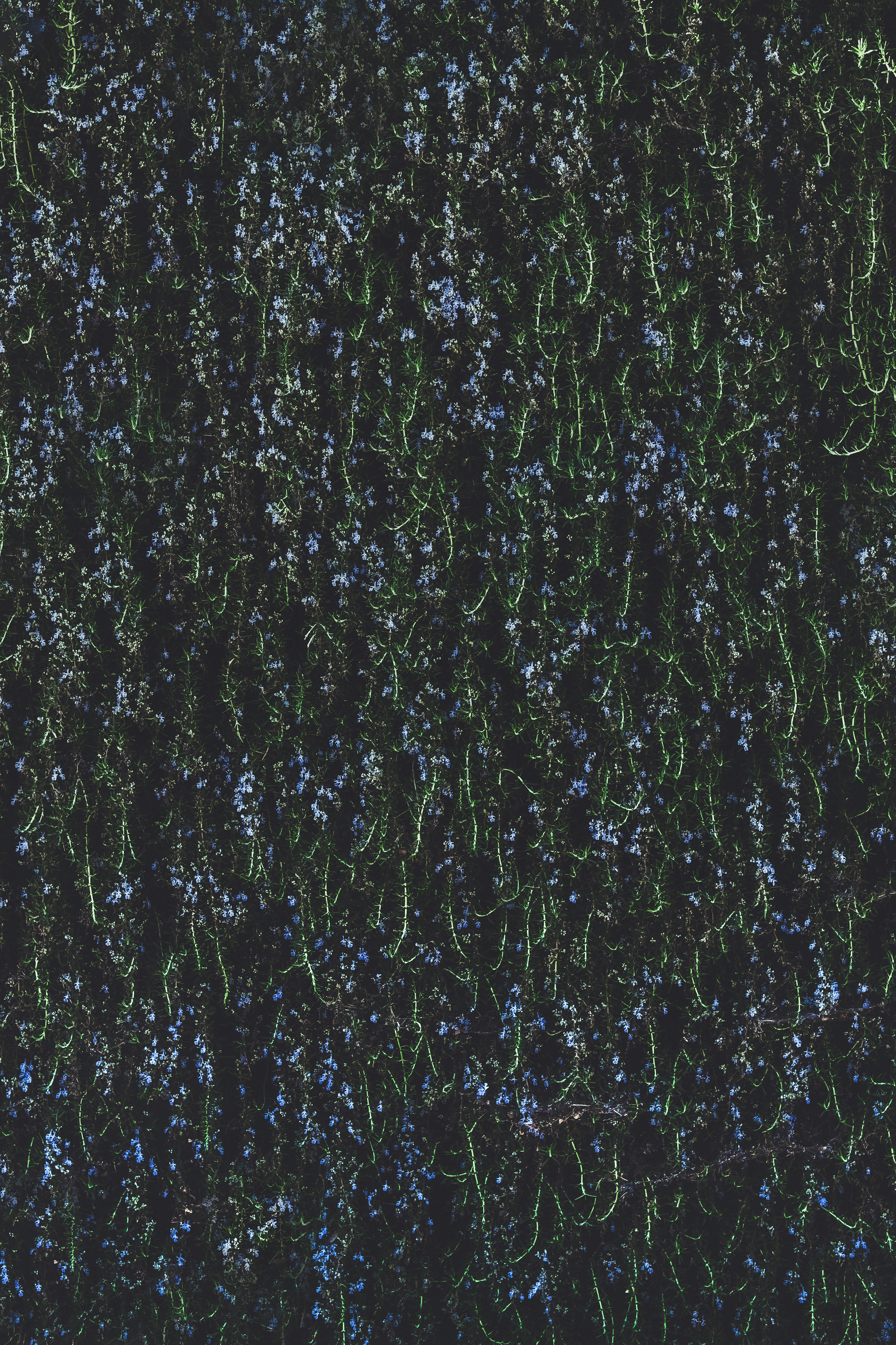 black and white abstract painting