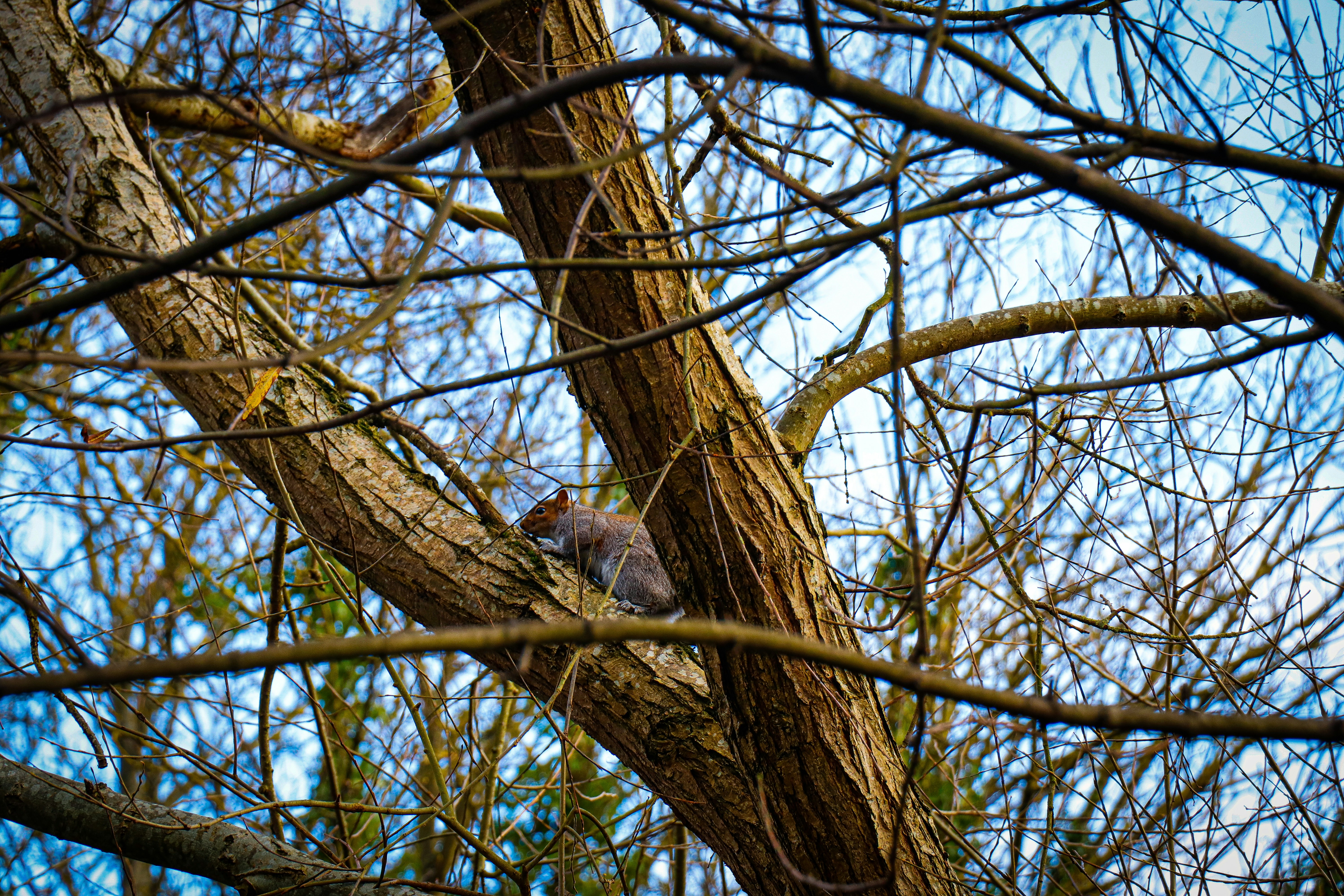 Photo by liam_gamble