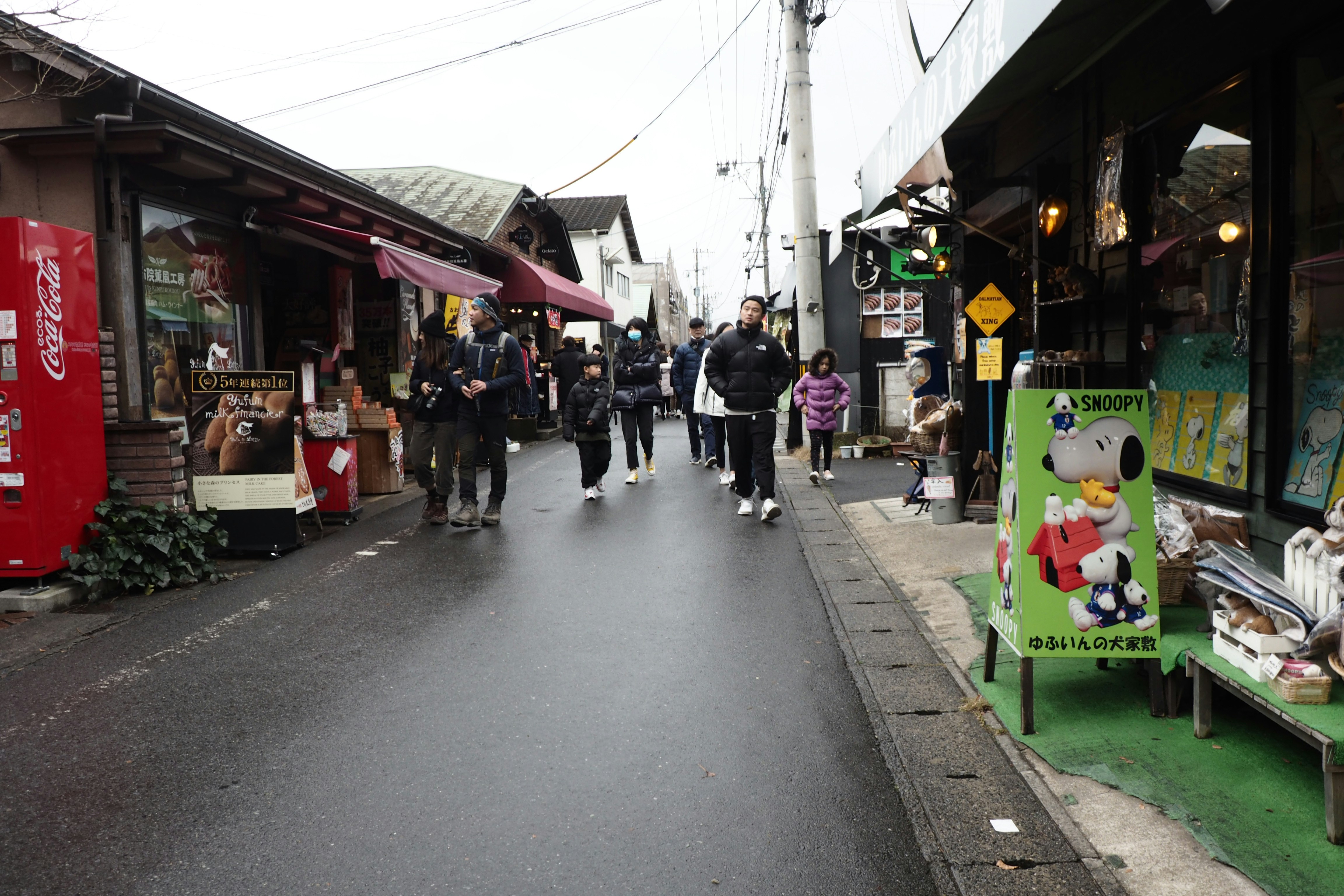 Satoyama walking and local activities