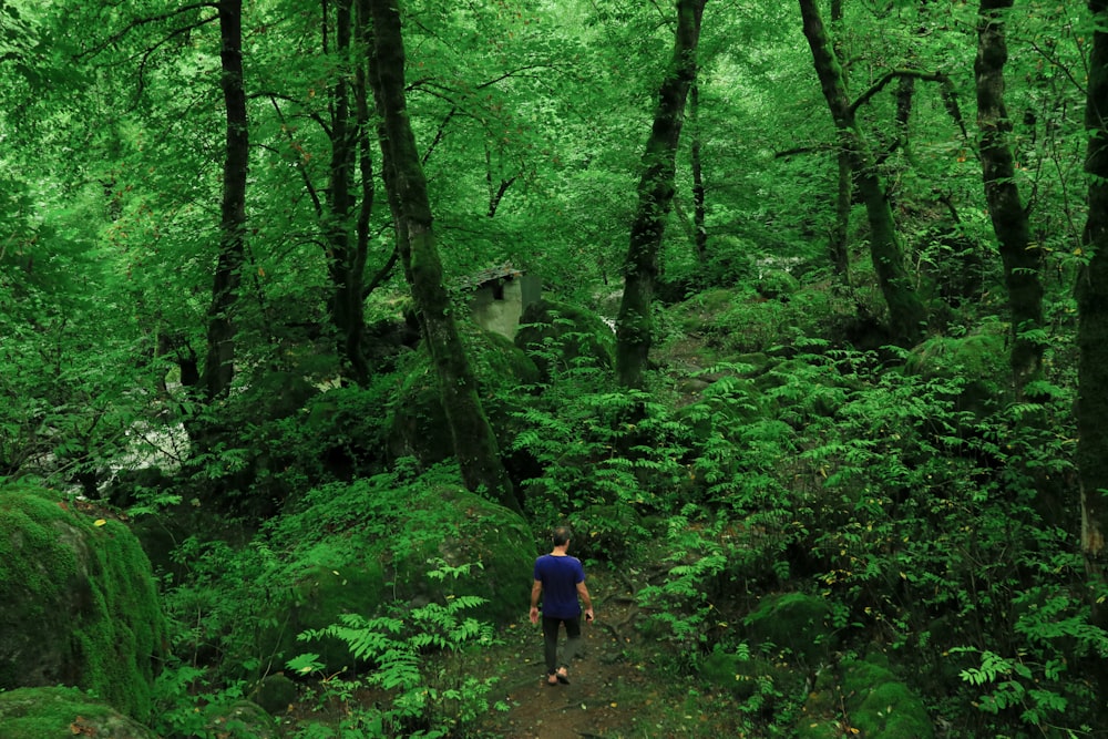 man in blue shirt walking on forest during daytime