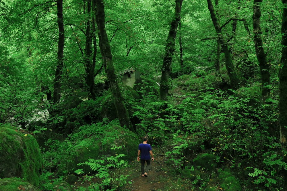 hombre con camisa azul caminando en el bosque durante el día