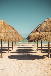 brown wooden nipa hut on beach during daytime