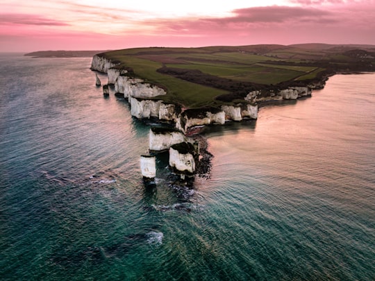 green and brown mountain beside body of water during daytime in Old Harry Rocks United Kingdom